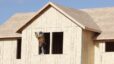 Price of lumber going sky high on building new homes.